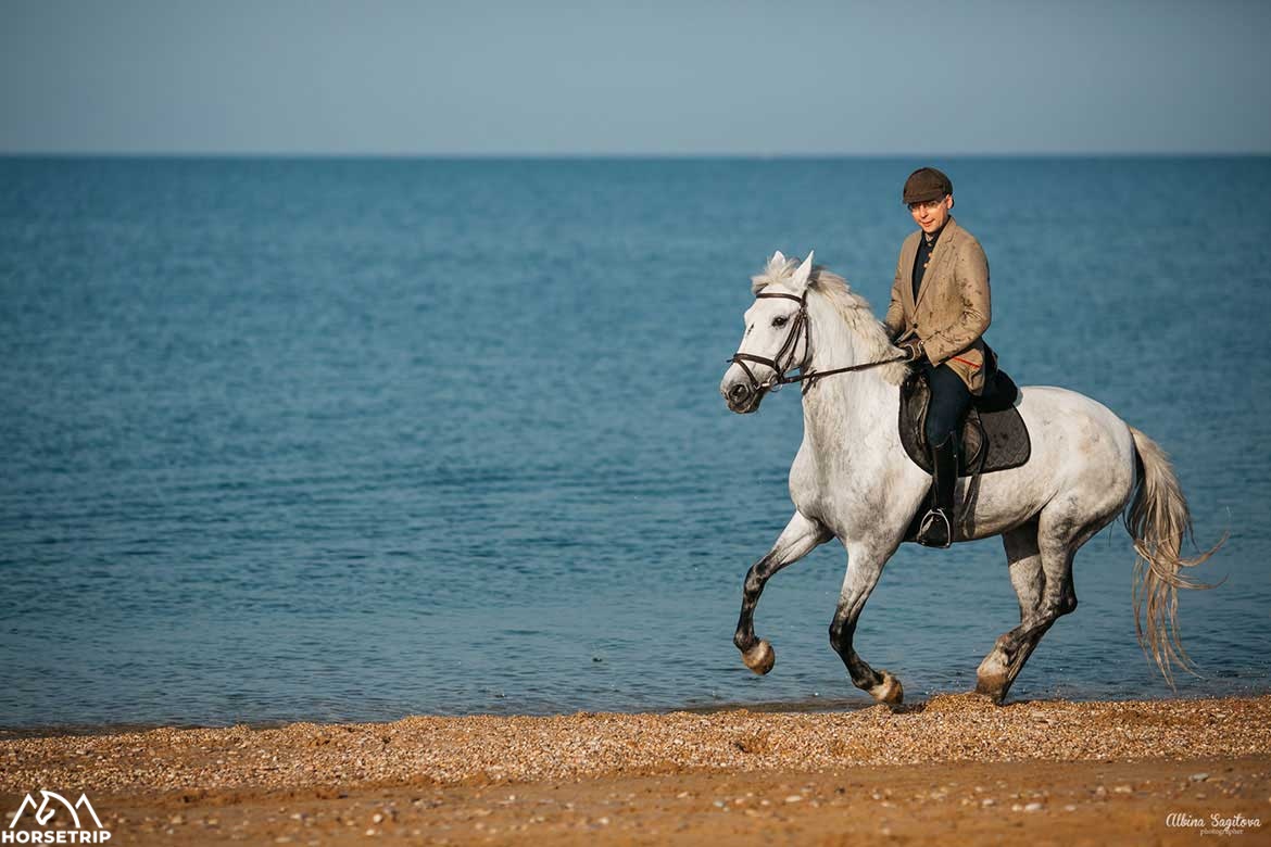 Галоп по берегу моря - мечта любого конника