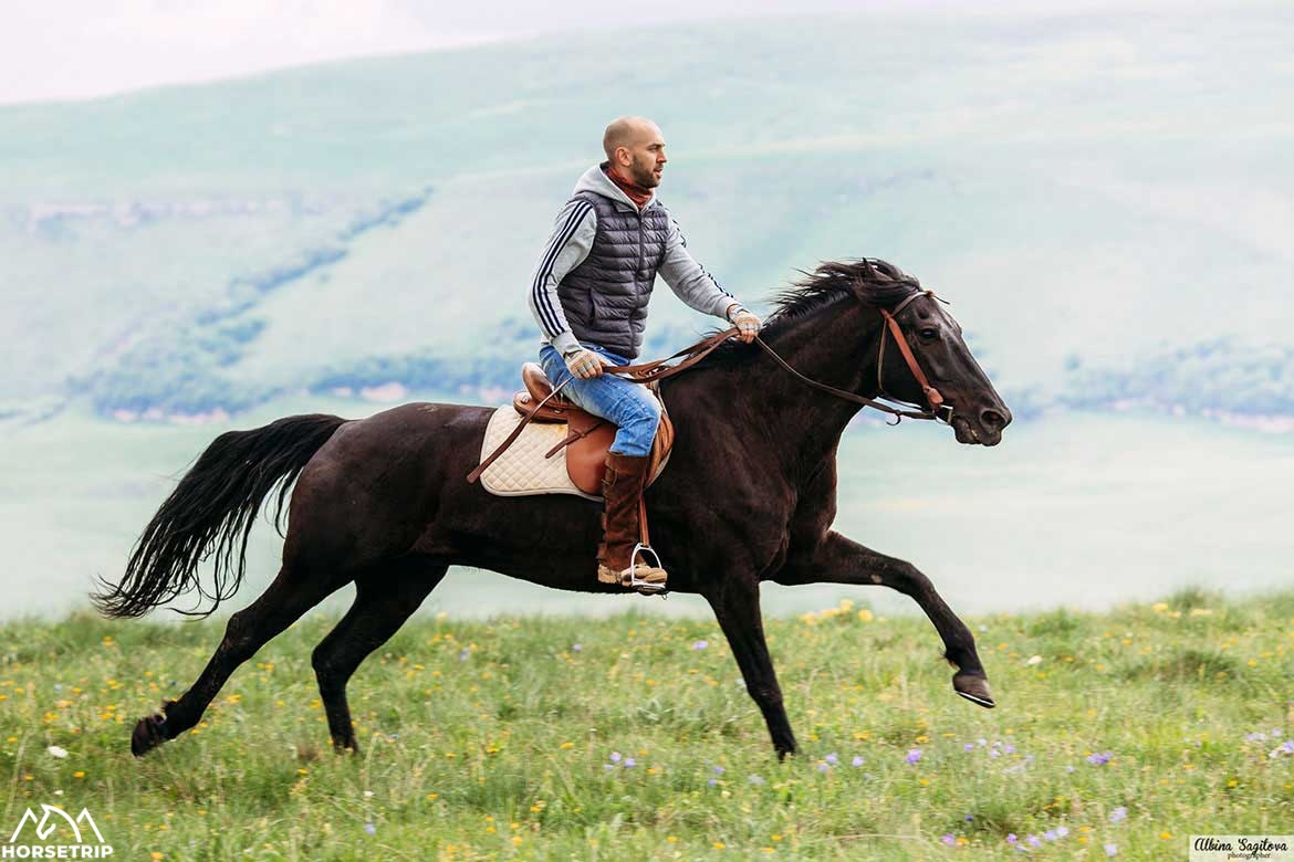 Карачаевские лошади - ваши надёжные спутники в горах