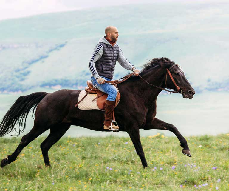 Карачаевские лошади - ваши надёжные спутники в горах