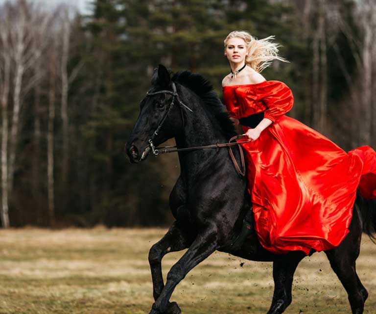Прекрасно выезженные кони - визитная карточка белорусского ранчо